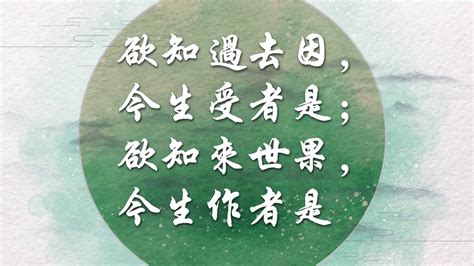 欲知前世因今生受者是|三世因果經——欲知前世因，今生受者是，欲知後世。